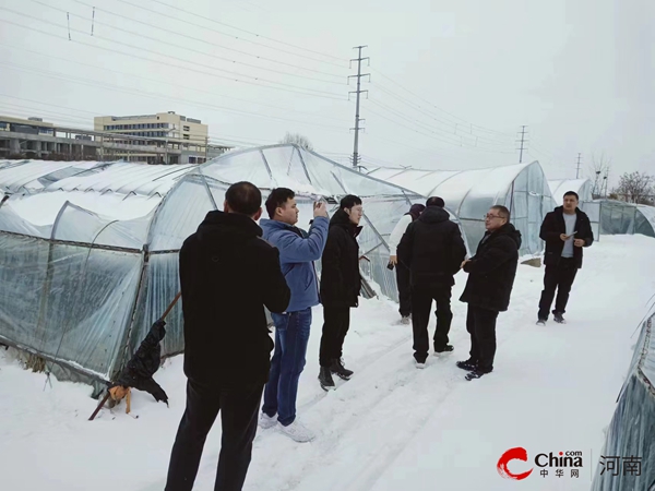 西平柏苑街道打好灾后土地恢复攻坚战备好春耕备耕主动仗(图2)