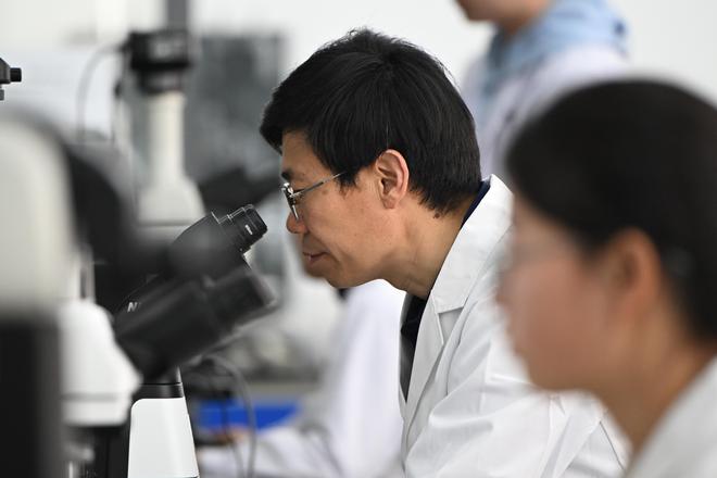 解锁农业黑科技｜给盐碱地开“药方”(图3)