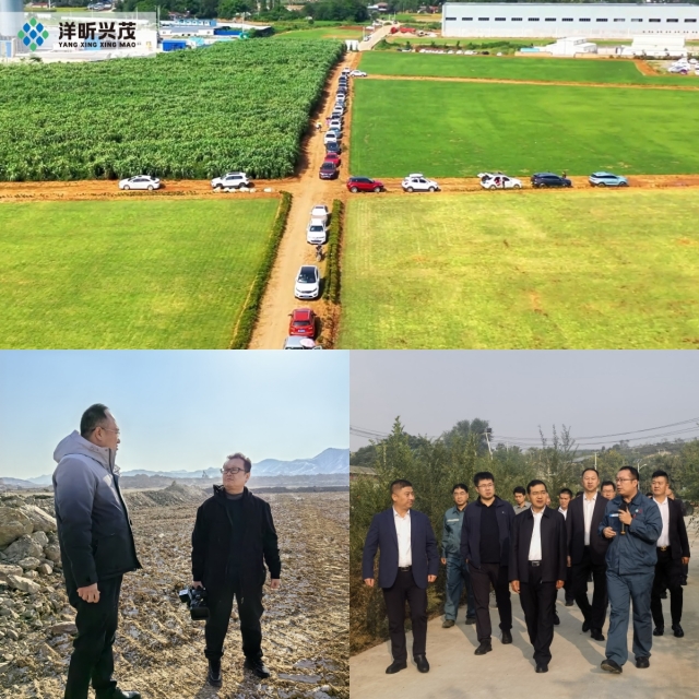 甘肃佰利联携手洋昕兴茂生态农业探索戈壁绿化新模式(图4)