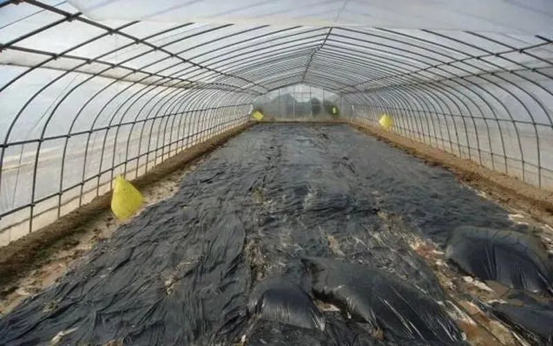 最全的土壤改良方法都在这里了！(图2)
