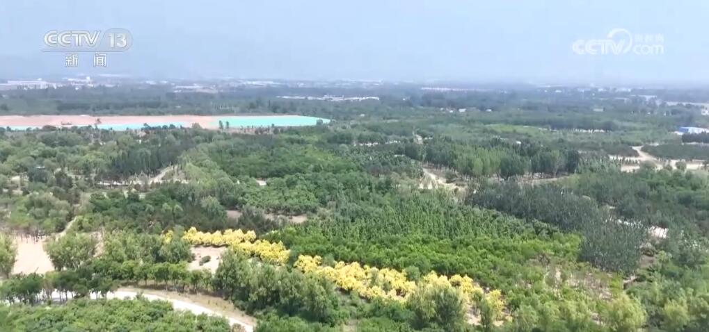 阻“黄”向“绿”、鏖战沙海“三北”工程不断延伸祖国北疆绿色版图(图7)