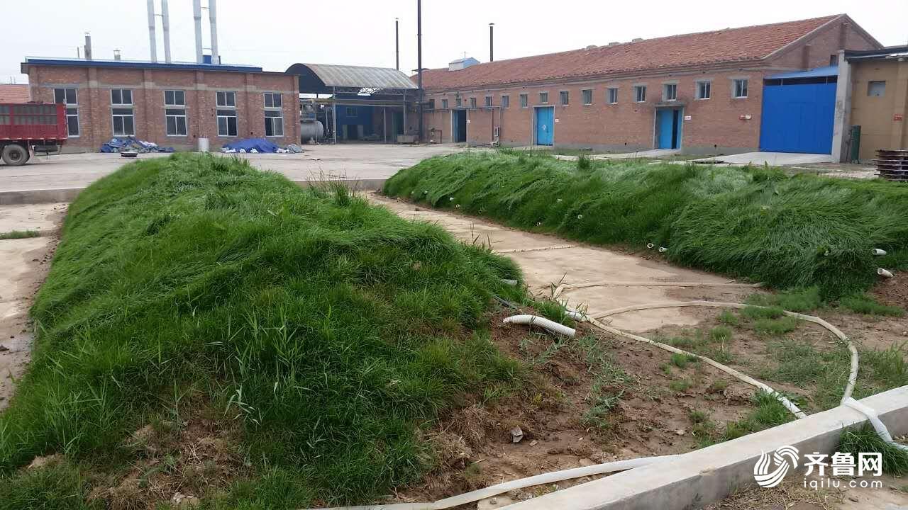 微生物“吃”石油山东省科学院这个团队让污染土壤“重生”(图4)