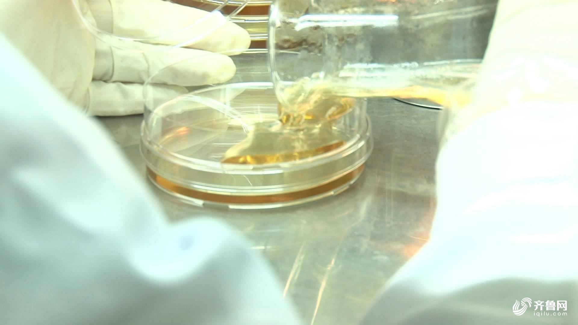 微生物“吃”石油山东省科学院这个团队让污染土壤“重生”(图6)