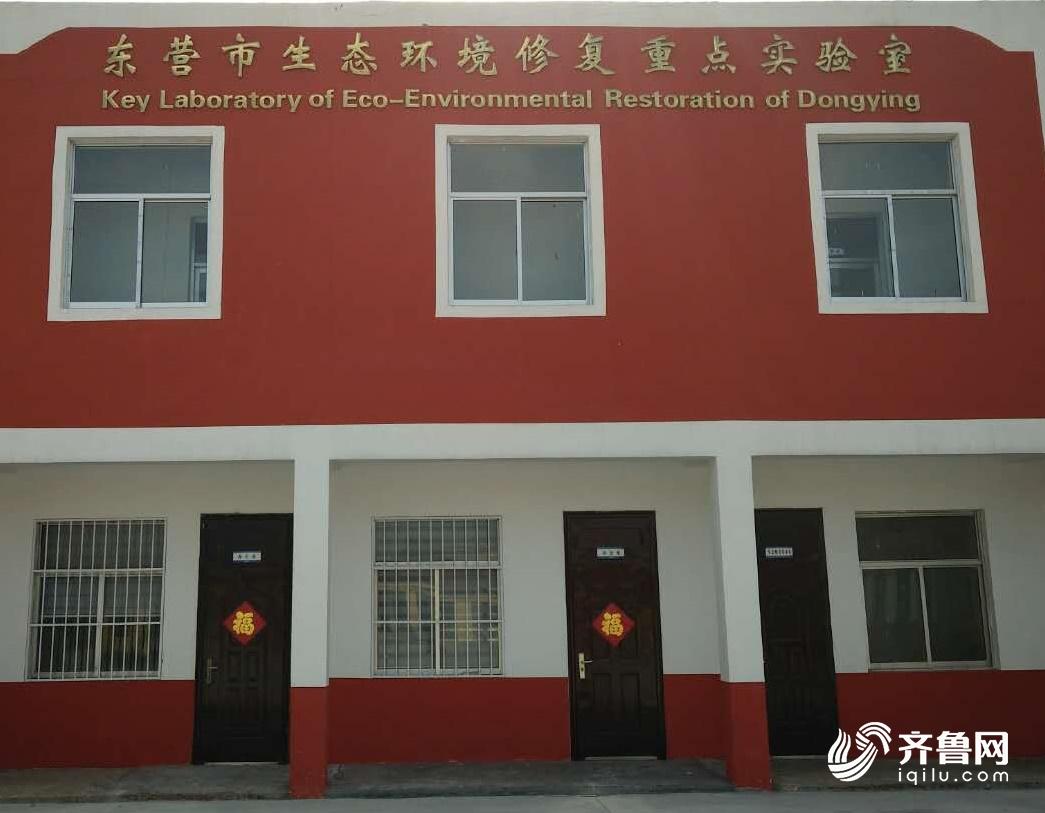 微生物“吃”石油山东省科学院这个团队让污染土壤“重生”(图9)