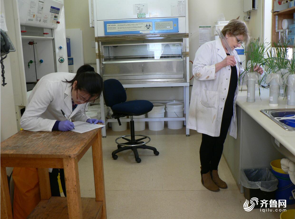 微生物“吃”石油山东省科学院这个团队让污染土壤“重生”(图8)