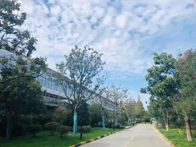 宝山这些环保设施单位免费对外开放预约看这里→(图8)