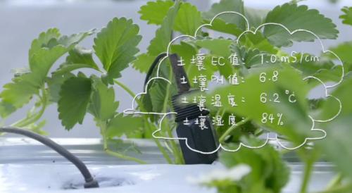 百果园环保实践：绿色种植高品质水果的可持续发展之路(图3)