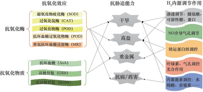氢在农业中的研发进展科技导报(图6)