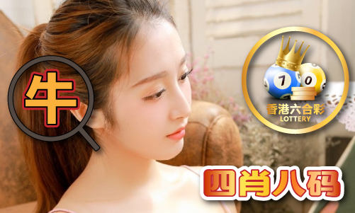 脆皮熊2023税务师资料区_脆皮熊2023税务师资料区V31(图1)