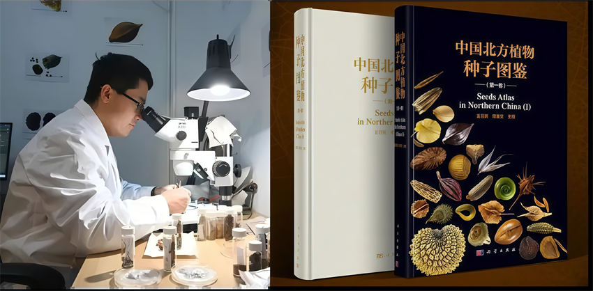 每一粒种子都是承诺蒙草“诺亚方舟”存下“绿色希望”(图2)