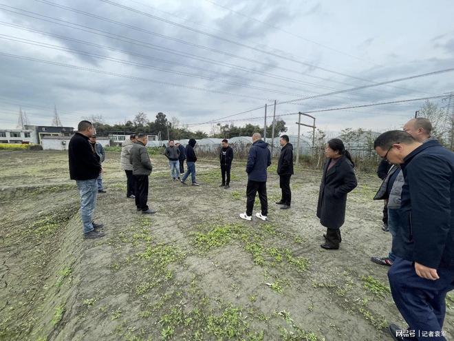 专家齐聚青白江弥牟镇白马村共同探讨土壤改良修复发展新路径(图3)