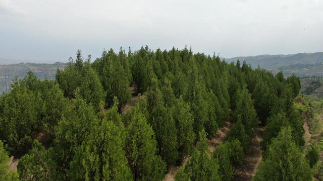 退耕还林还草在黄土高原落实的必要性分析(图3)