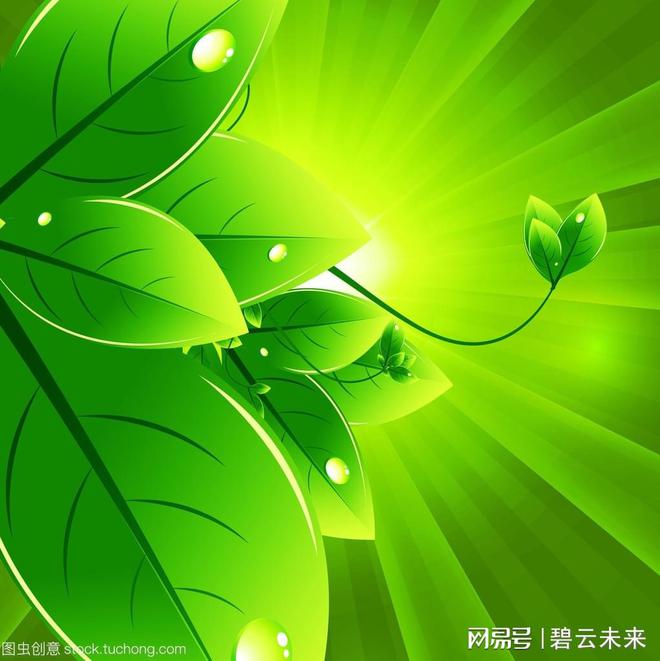 2025这一年走出难困卷创造新优势赢得新发展中国环保测评网(图1)
