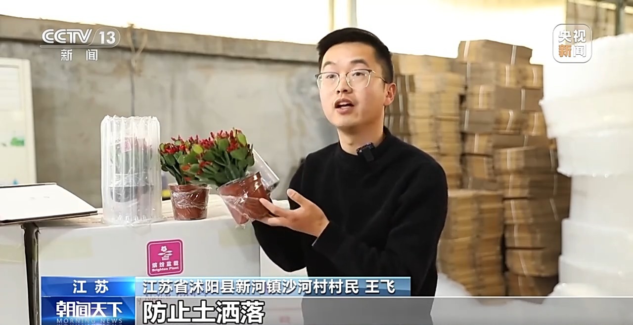 定时开花、抢“鲜”抵达……“鲜花经济”持续绽放新活力(图5)