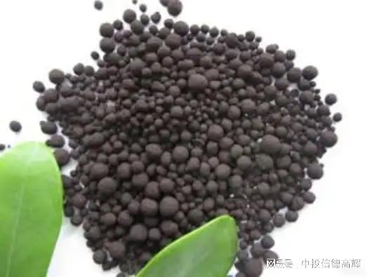 土壤修复改良剂项目可行性研究报告(图1)