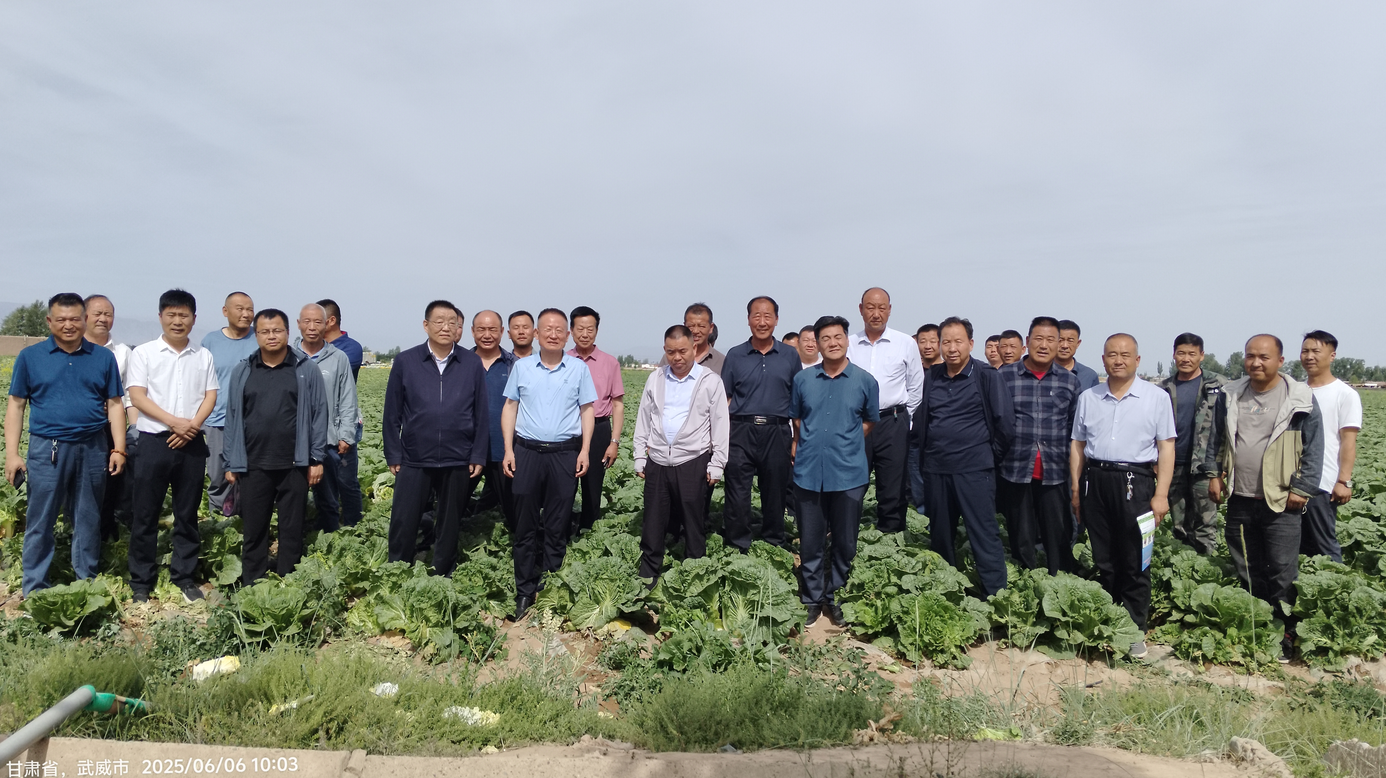 让丰收永续让沃土重生——长隆农业土壤修复暨蔬菜产业提质增效现场观摩会在古浪举行(图1)