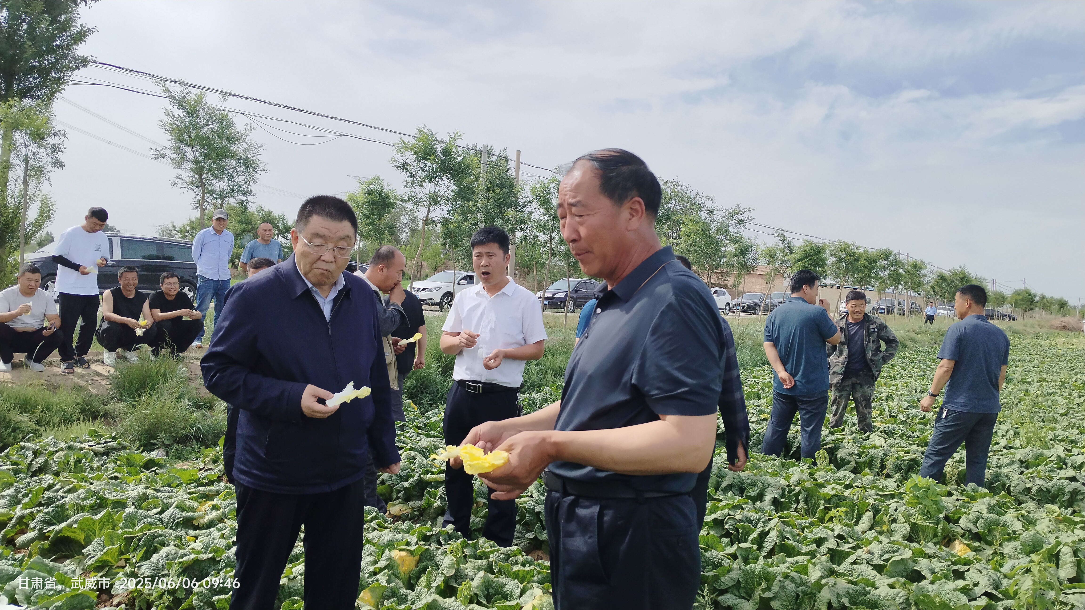 让丰收永续让沃土重生——长隆农业土壤修复暨蔬菜产业提质增效现场观摩会在古浪举行(图2)