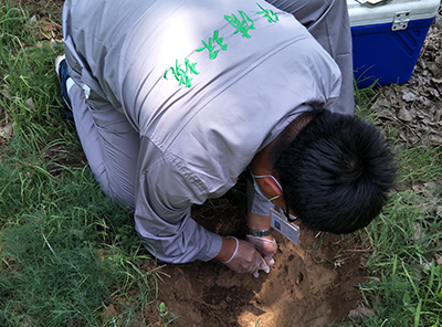 土壤治理修复技术哪种方法适合咱们土地(图1)