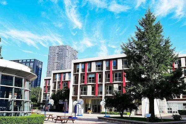 2025北京国际化学校众多海内外夏令营夏校研学活动来袭！(图1)
