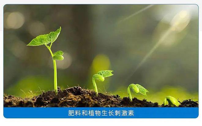 中央一号文件点名扶持！腐植酸水溶肥2025年补贴暴涨30%(图4)