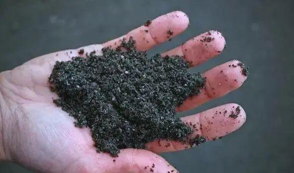 中央一号文件点名扶持！腐植酸水溶肥2025年补贴暴涨30%(图6)