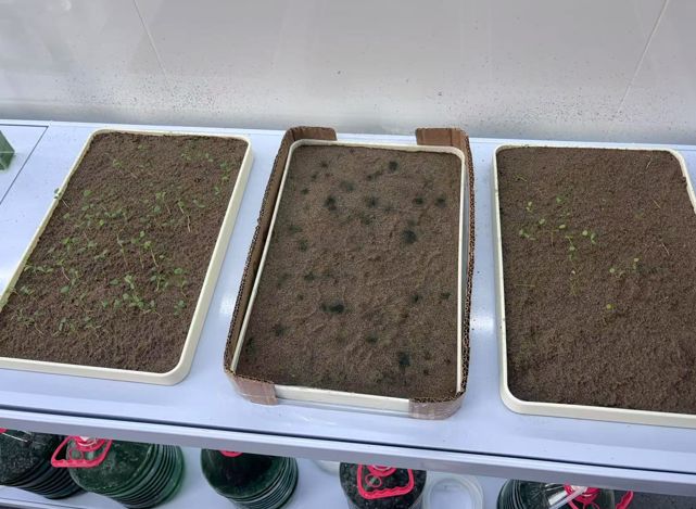 产学研共塑绿色科技！巷西环境荒漠治理技术“世界领先”丨青创引力场(图8)