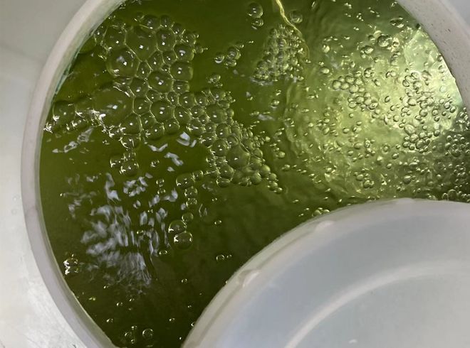 产学研共塑绿色科技！巷西环境荒漠治理技术“世界领先”丨青创引力场(图4)