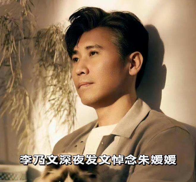 李乃文评论区被炮轰！朱媛媛离世当天直播大笑被指责“太虚伪”(图17)