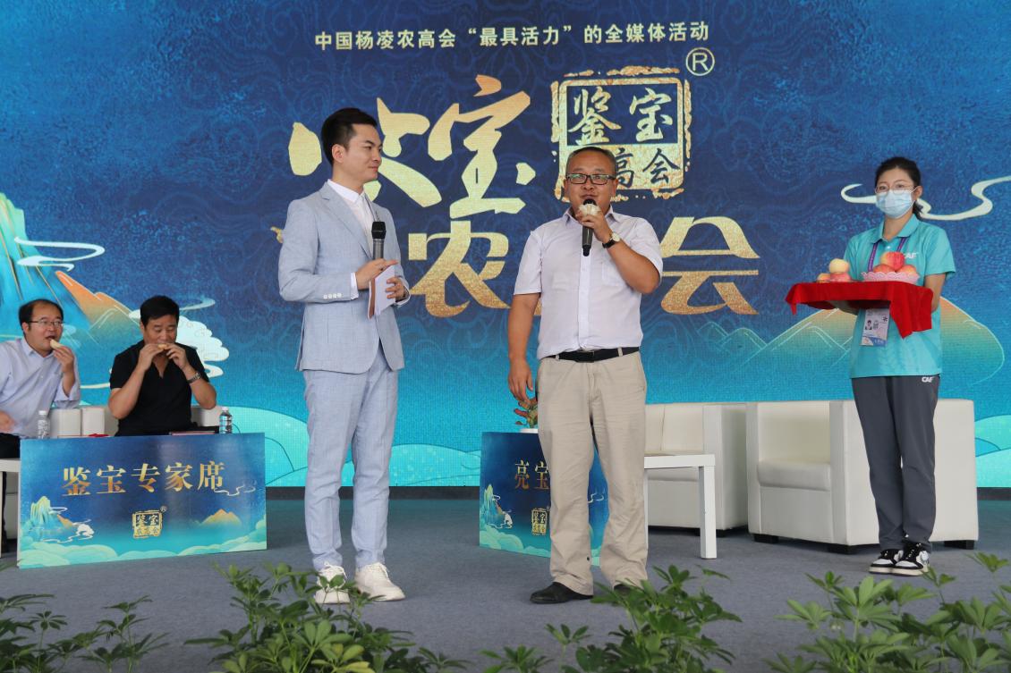 耕耘者张田龙：一颗“苹果心”织就共富网(图1)