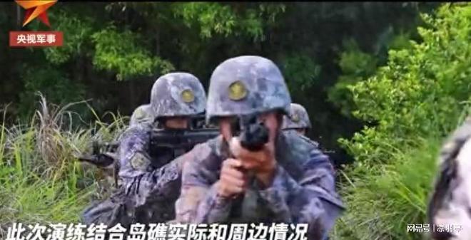 央视镜头下的南沙岛礁自然生态系统加速形成草丛竟有一人多高(图1)