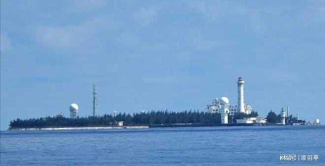 央视镜头下的南沙岛礁自然生态系统加速形成草丛竟有一人多高(图9)