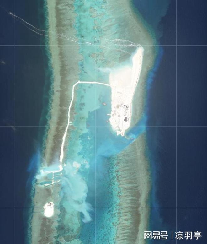 央视镜头下的南沙岛礁自然生态系统加速形成草丛竟有一人多高(图10)