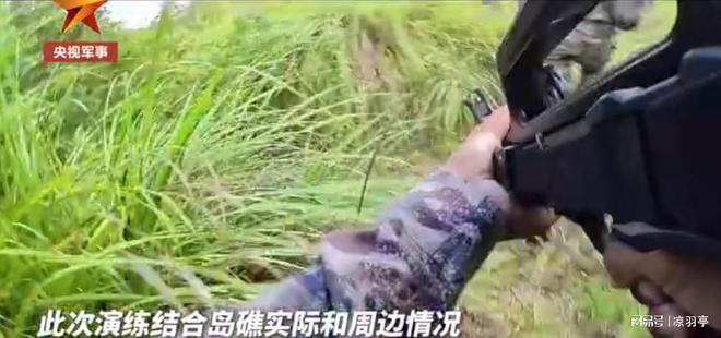 央视镜头下的南沙岛礁自然生态系统加速形成草丛竟有一人多高(图4)