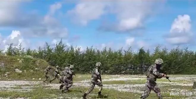 央视镜头下的南沙岛礁自然生态系统加速形成草丛竟有一人多高(图5)