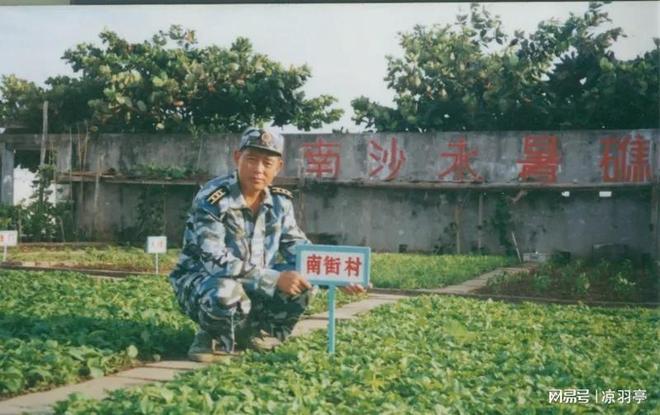 央视镜头下的南沙岛礁自然生态系统加速形成草丛竟有一人多高(图8)