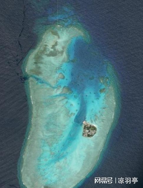 央视镜头下的南沙岛礁自然生态系统加速形成草丛竟有一人多高(图12)