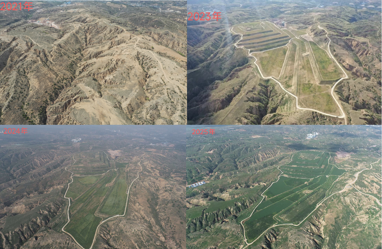 落笔黄河“几字弯”——陕煤地质研究院公司生态环境科研项目修复侧记(图2)