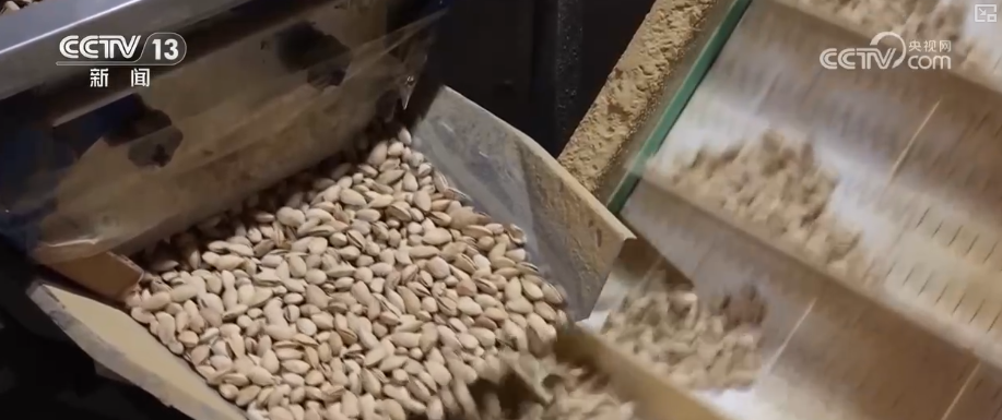 小而美做精成制胜关键一招！凭借高标准技艺闯新路小核桃撑起数十亿级大产业(图20)