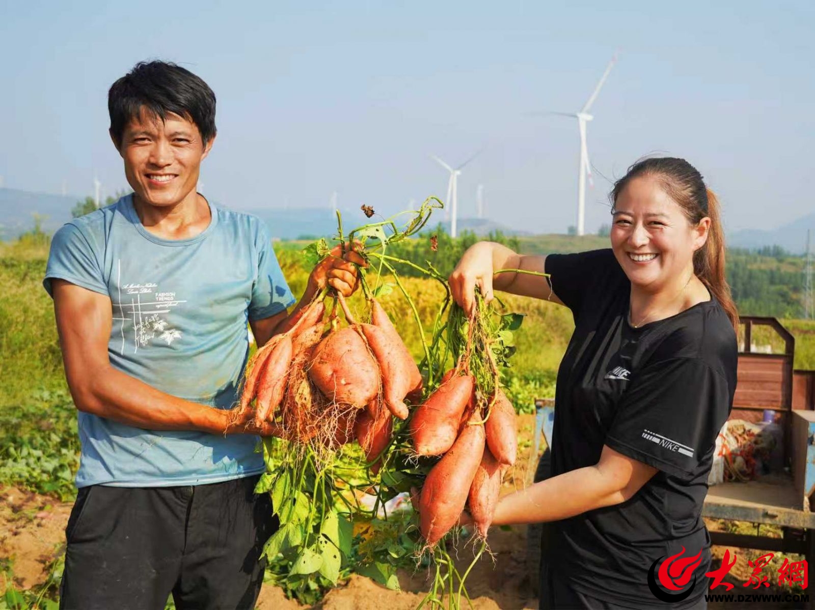 潍坊安丘何以成为“蔬”香齐鲁的“芯”舞台？(图7)
