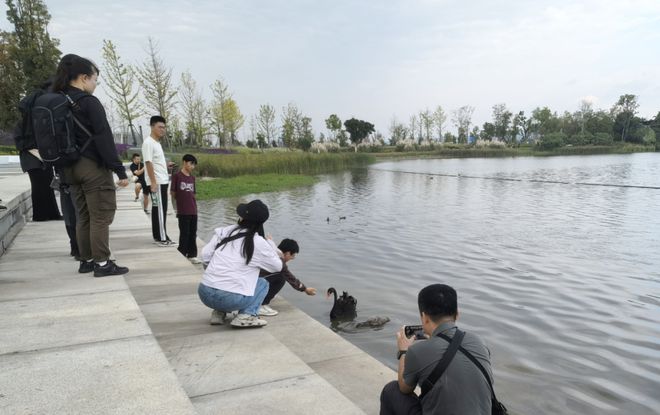 从净土修复到扮靓河湖“颜值”成都探索生态答卷(图4)