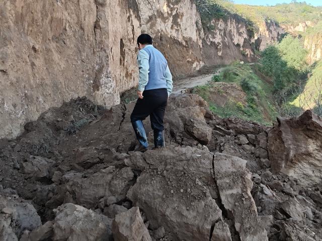 织密生态保护网夯实绿色发展基底——彬州市环境监测站开展全域生态详查工作(图1)