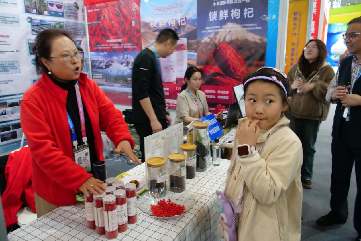 土壤健康红粒藏香——中向旭曜科技有限公司土壤改良硕果累累(图3)