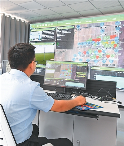 人民日报看河北|河北村里有“数”(图1)