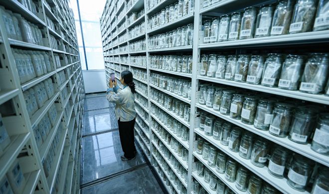 解码杨凌农科城创新实践丨这里有数十万份土壤的“身份证”杨凌用科技夯实“大国粮基”(图2)