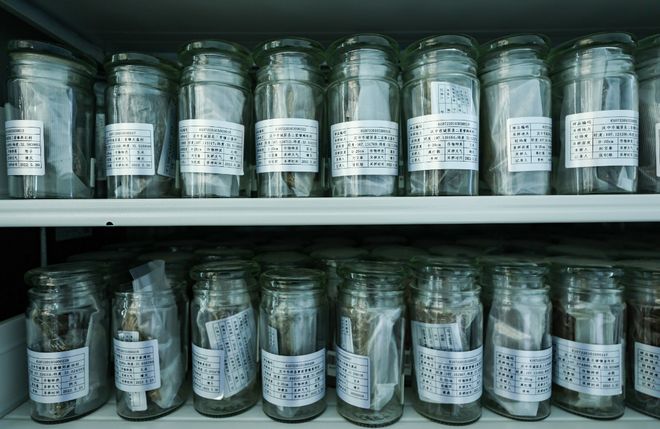 解码杨凌农科城创新实践丨这里有数十万份土壤的“身份证”杨凌用科技夯实“大国粮基”(图3)