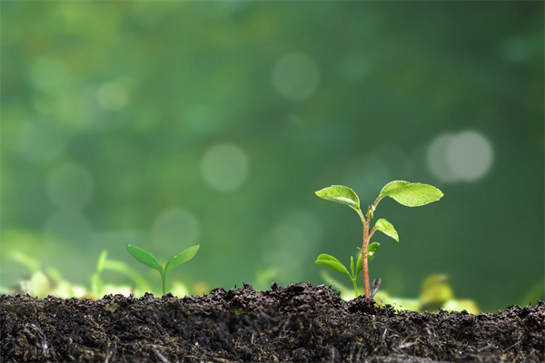 什么是土壤修复？技术有哪些？(图2)