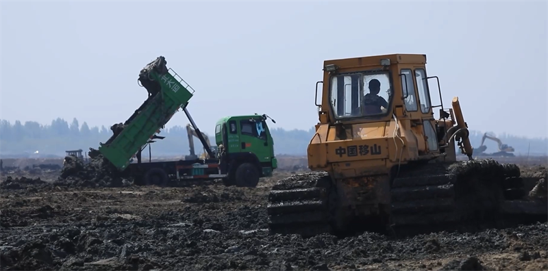 新闻纵深|万鸟归来七里海潟湖十年重生(图2)