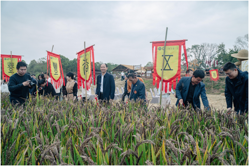 从一粒种子到地球上的最幸福村落十里芳菲钓源古村第二届丰收节成功启幕!(图1)
