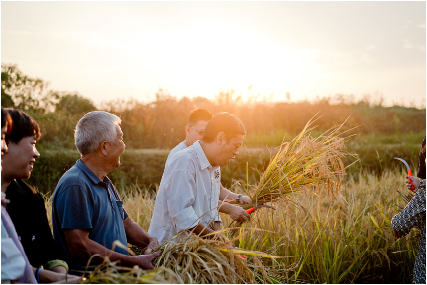 从一粒种子到地球上的最幸福村落十里芳菲钓源古村第二届丰收节成功启幕!(图2)