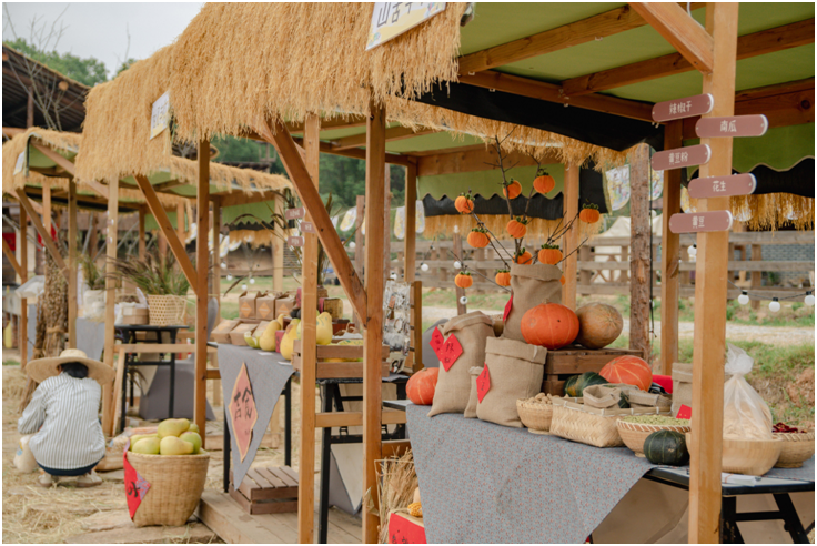 从“一粒种子”到“地球上的最幸福村落“十里芳菲钓源古村第二届丰收节成功启幕！(图4)